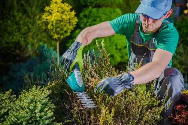 landscaping services Addis